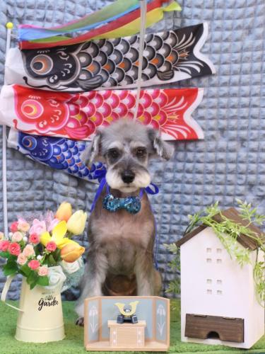 20230527ラーラちゃん